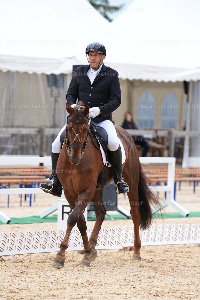 3-239-Dressur M_-Marixx-1915 | working equitationturnier fotograf videograf stoibphotography marixx film working equitation deutschland reitsport turnierfotografie eventfotografie equestrian events