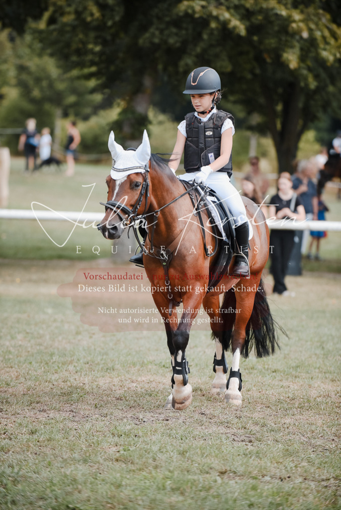 DSC_5473 | Pferde- und Turnierfotografie in Westsachsen. Pferdeportraits, Auftragszeichnungen und intuitive Kunst.
