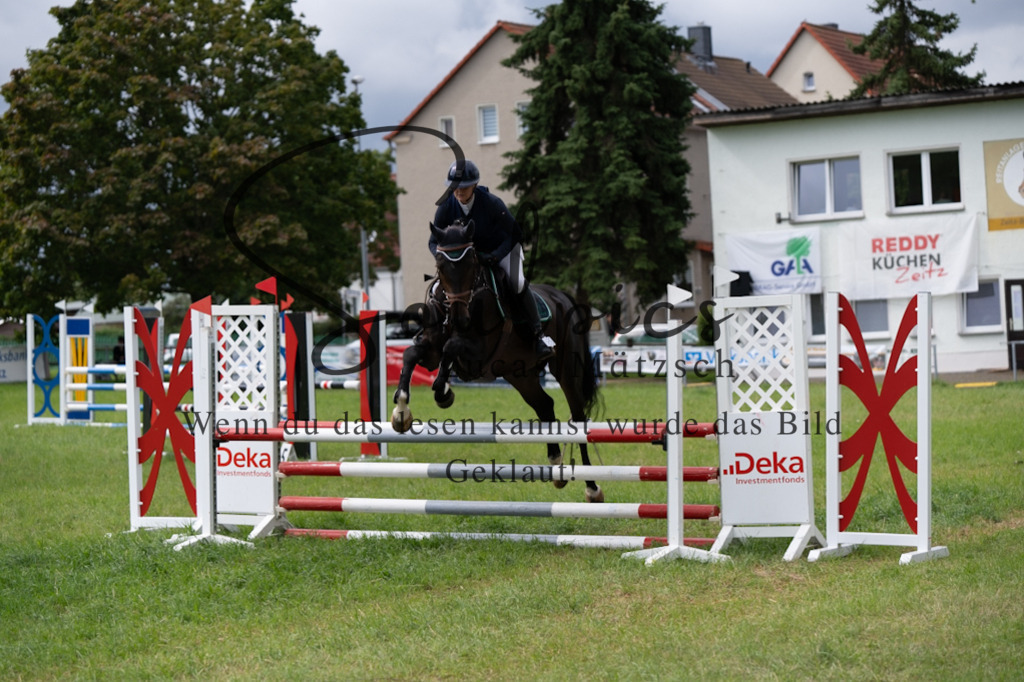 A7V03974 | Pferdefotograf