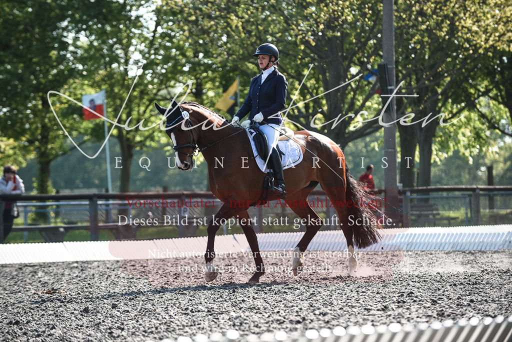 DSC_8518 | Pferde- und Turnierfotografie in Westsachsen. Pferdeportraits, Auftragszeichnungen und intuitive Kunst.