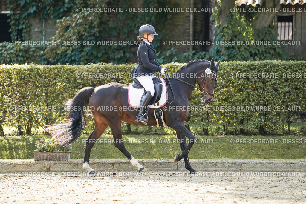 DSC07105 | Pferdegrafie