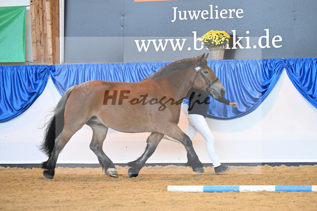 Kat-Nr. 15 Nelly_Platzeck_53221017 | hf-fotografie - Realizzato con Pictrs.com