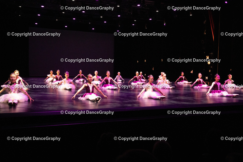 GPHY4429 | DanceGraphy - Realisiert mit Pictrs.com