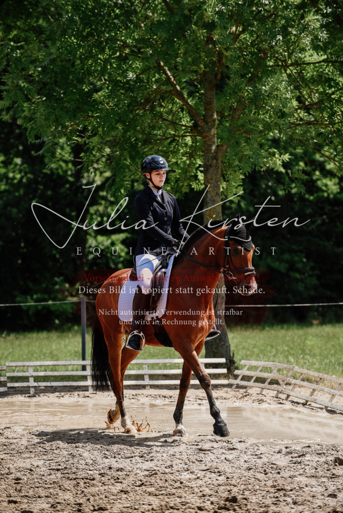 DSC_1724 | Pferde- und Turnierfotografie in Westsachsen. Pferdeportraits, Auftragszeichnungen und intuitive Kunst.