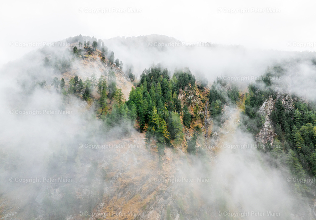 Divers_Erlebnisraum_Wald_23_Peter_Maier-883 | default