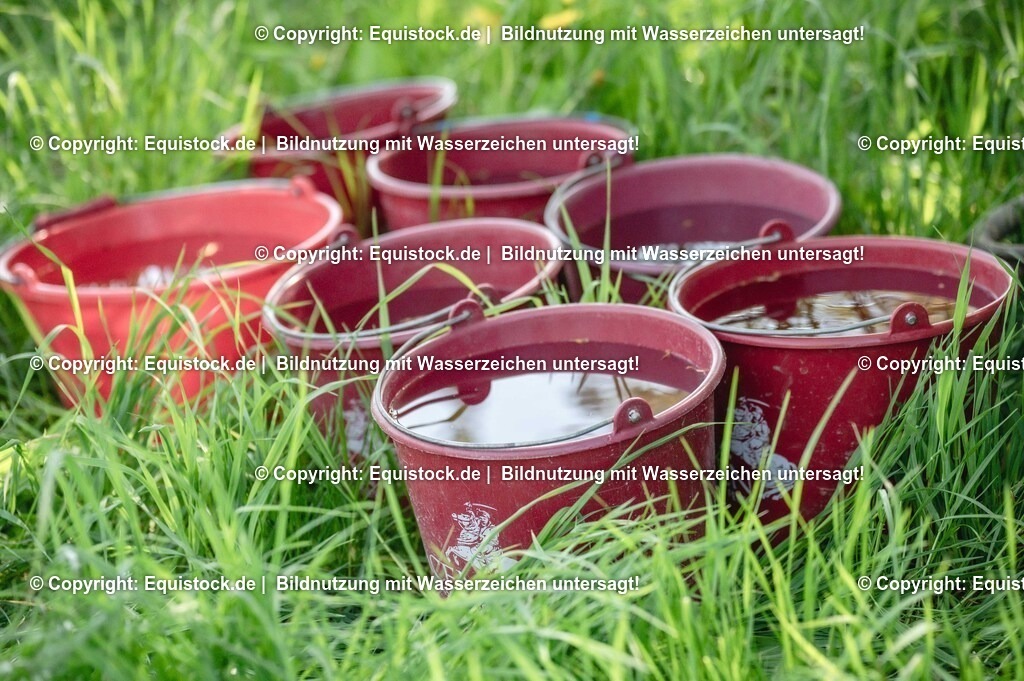 20240511_Impressionen_0019 | Foto: Thomas Hartig