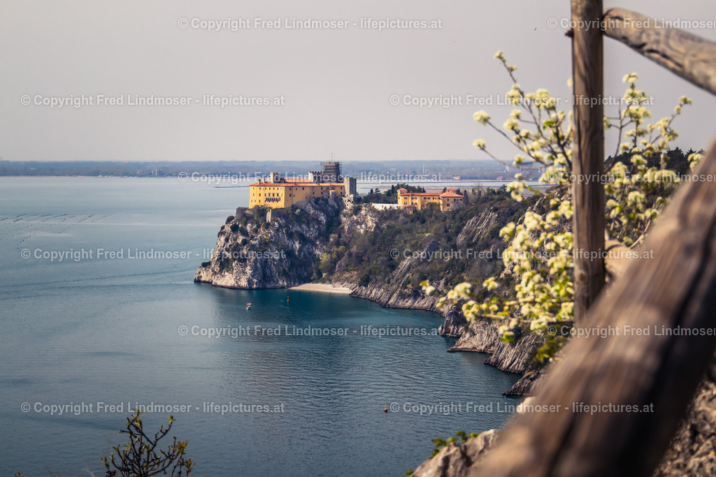 Triest_Bled 2019-5979 | Fotos und Fotoprodukte - Realisiert mit Pictrs.com