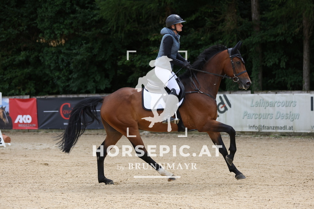 0P6A4262 | Willkommen bei Brunnmayr - Design & Fotografie – Ihrem Spezialisten für Reitturniere und Pferdeveranstaltungen in Oberösterreich, Salzburg und Bayern! Seit über 17 Jahren sind wir leidenschaftlich dabei.