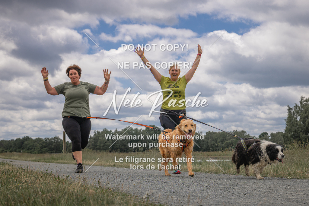 nelerasche_BuHu2026_SaCC1100-1200_259 | nelerasche