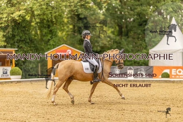 28-8-26 5j DRE-522 | mandyhollmannphotographie