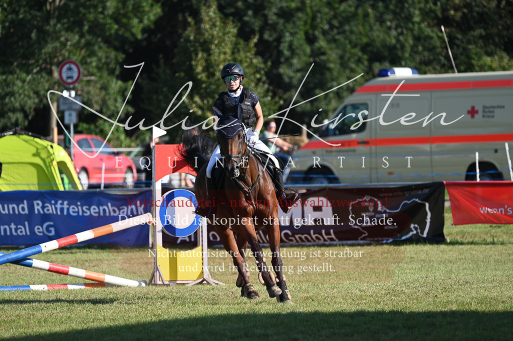 DSC_4848 | Pferde- und Turnierfotografie in Westsachsen. Pferdeportraits, Auftragszeichnungen und intuitive Kunst.
