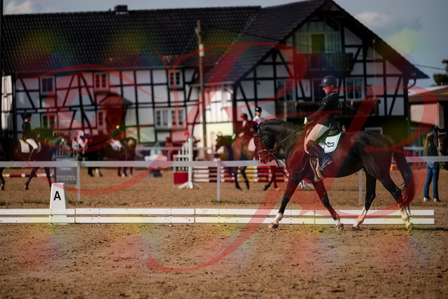 2026_10_03_Siefer-Hof_121445_Z63_39986254 | Professionelle Reitsport-, Turnier- und Eventfotografie von Robert Broda. Galerien mit ausgewählten und bearbeiteten Bildern direkt online ansehen und bestellen.