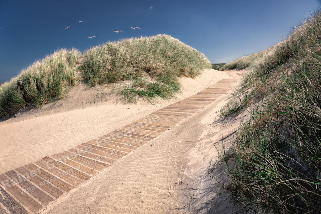 007 Langeoog - 12-05-2022 -R Ganske.jpg | Rainer Ganske, www.RainerGanskeFotografie.de, www.RainerGanskeShop.de - Realisiert mit Pictrs.com
