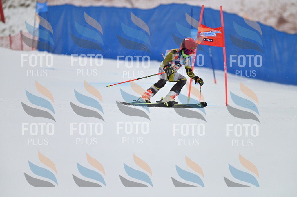 BGV_1138 | holidayphoto