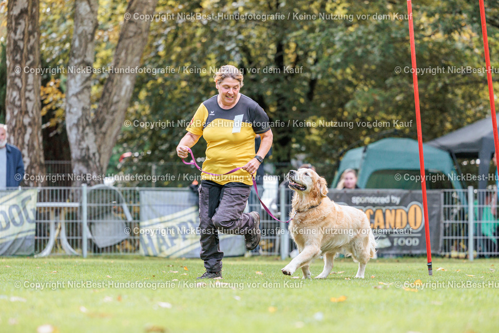 THS-HSV-Blumenthal-2026-Nickbest-Hundefotografie-2117 | Dein Hund! Dein Moment! Deine Erinnerungen! Hundefotografie in Bremen Blumenthal. Ich fange die besonderen Momente deines Vierbeiners ein – ob Indoor mit Blitzanlage oder in der freien Natur. Sicher dir dein Moment und dein Termin für eure Erinnerungen.