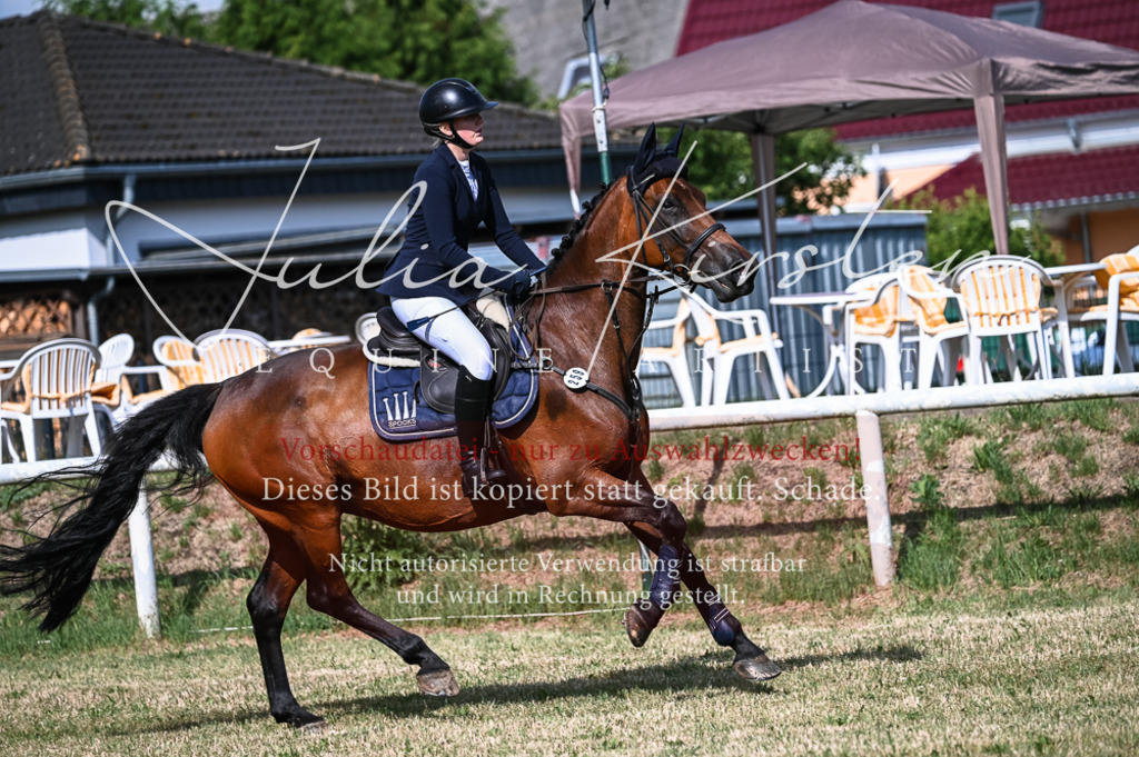 DSC_7852 | Pferde- und Turnierfotografie in Westsachsen. Pferdeportraits, Auftragszeichnungen und intuitive Kunst.