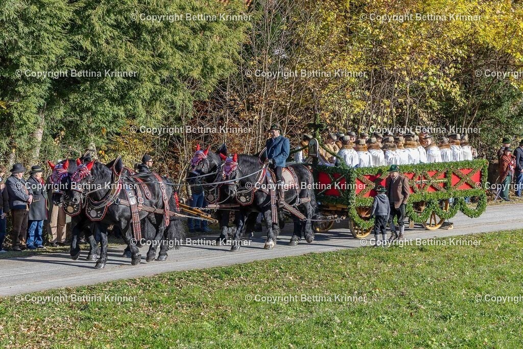 LBT25-395 | foto-bettina-krinner - Realisiert mit Pictrs.com