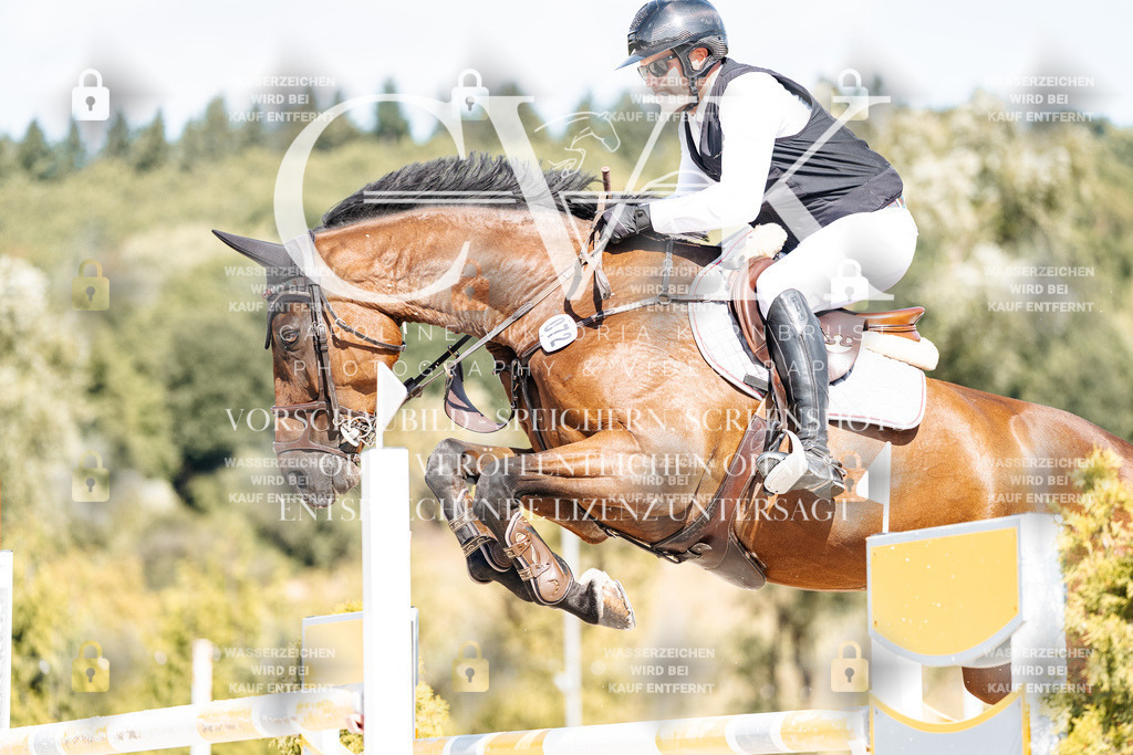 CK909077 | Turnierfotografie Pferdefotografie Trier Rheinland-Pfalz Pferdesport Reitsport Tierfotografie Sportfotografie Pferdevideo Pferdevideografie Equestrianvideography equestrianphotography  - Realisiert mit Pictrs.com