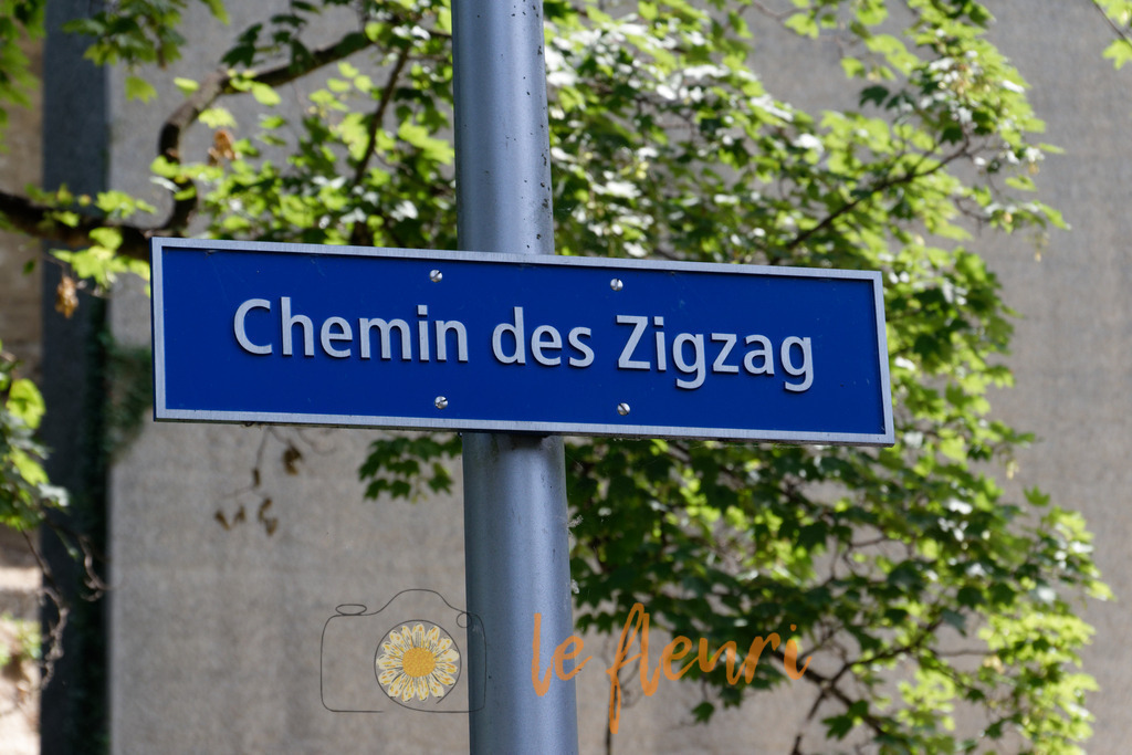 DSC_0065-NEF_DxO_HQ | Dies ist der Shop von Florian Blum - le fleuri. Langenthal, Bern, SchweizSie können hier meine oder ihre eigenen Fotos als Fotoprodukte kaufen. Tassen, Schlüsselanhänger, Taschen etc. können Sie hier gestalten.  - Realisiert mit Pictrs.com