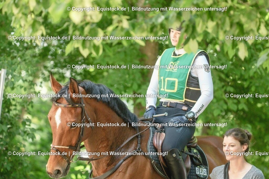 DSC_8065 | equistock