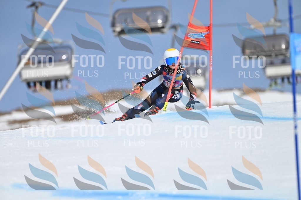 BGV_9690 | holidayphoto