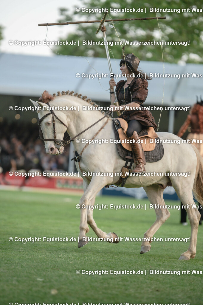 20230526_Pferdenacht_0278 | equistock