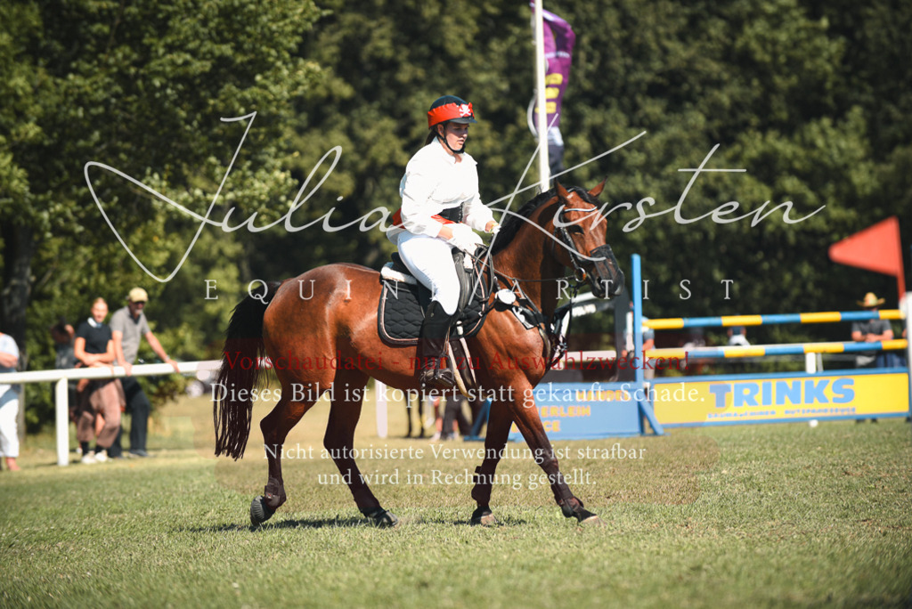 DSC_7402 | Pferde- und Turnierfotografie in Westsachsen. Pferdeportraits, Auftragszeichnungen und intuitive Kunst.
