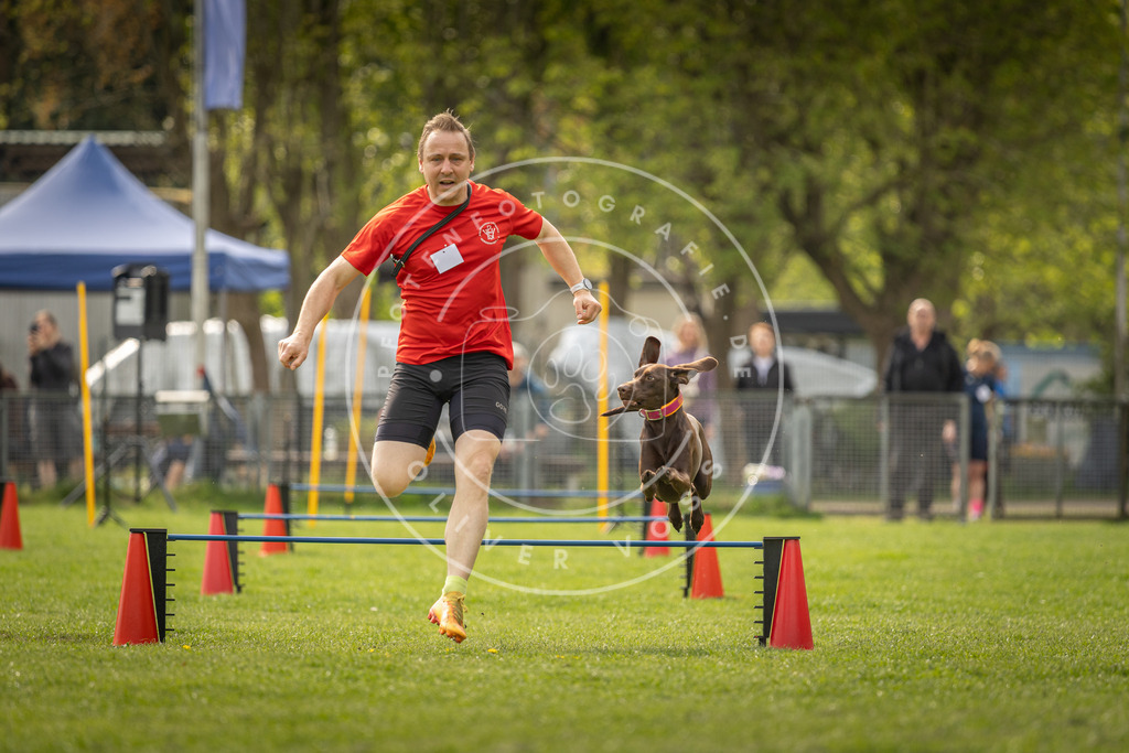 Pfotenfotografie_DV3A6006 | Hundefotografie, Tierfotograf, Pfotenfotografie, Fotoshooting Hund, Hunde Portrait, Hundesport, Hundeportraits, Heideshooting, Hunde, Sportfotograf, Hundefotograf, Turnierhundsport, THS,  - Realisiert mit Pictrs.com