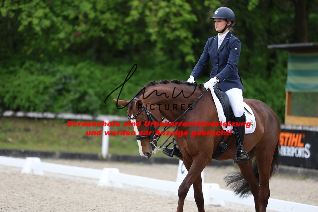 A40A0620 | lmwpictures - Realisiert mit Pictrs.com