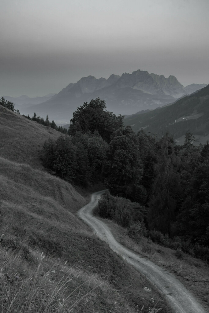 _W5A1558-Bearbeitet | Sich an die einzigartigen Momente der Natur und Landschaft sowie die Begegnung mit heimischen wilden Tieren zu erinnern, dies kann man anhand den Bilder der Natur und Landschaftsfotografin Sandra Eimermacher.  - Realisiert mit Pictrs.com