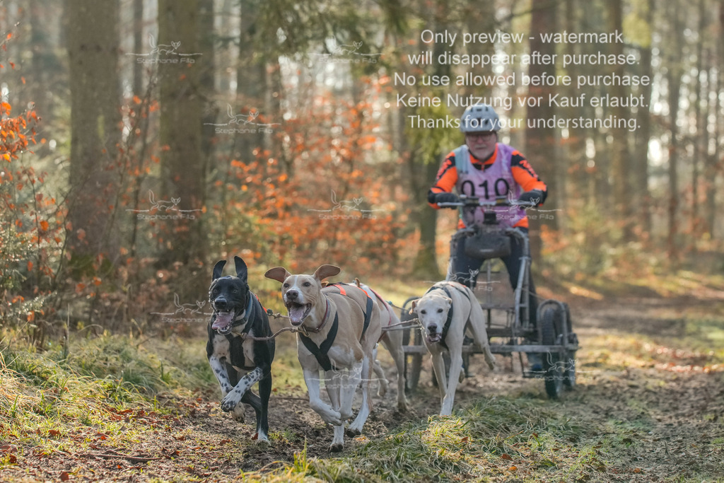 So_Gespanne-4 | stephaniefillaphotographie - Realisiert mit Pictrs.com