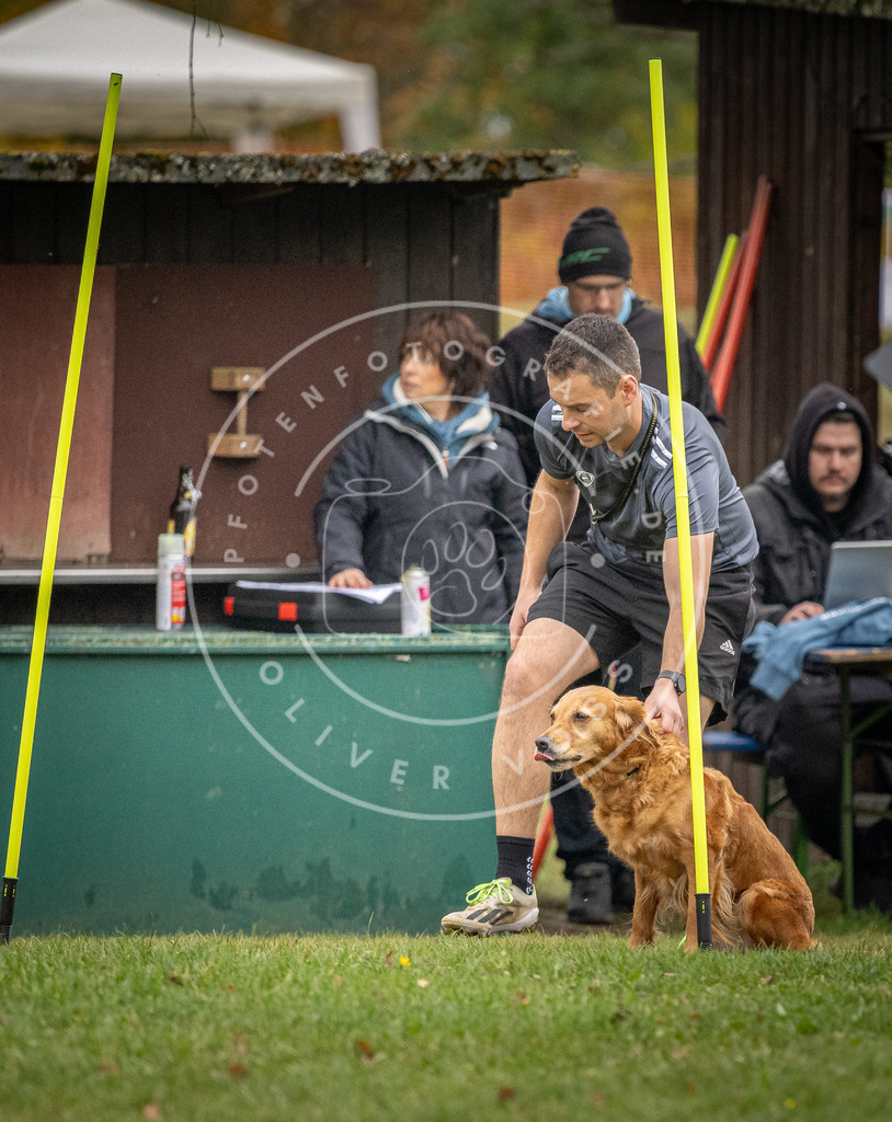 Pfotenfotografie_DV3A9924 | Hundefotografie, Tierfotograf, Pfotenfotografie, Fotoshooting Hund, Hunde Portrait, Hundesport, Hundeportraits, Heideshooting, Hunde, Sportfotograf, Hundefotograf, Turnierhundsport, THS,  - Realisiert mit Pictrs.com