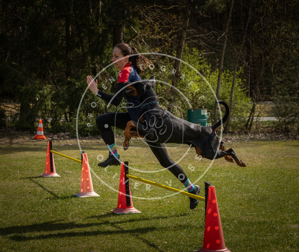 Pfotenfotografie_DV3A3834 | Hundefotografie, Tierfotograf, Pfotenfotografie, Fotoshooting Hund, Hunde Portrait, Hundesport, Hundeportraits, Heideshooting, Hunde, Sportfotograf, Hundefotograf, Turnierhundsport, THS,  - Realisiert mit Pictrs.com