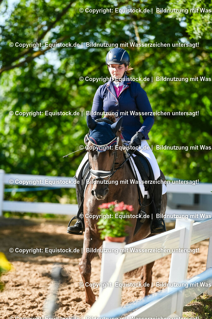 20230715_06_Dressurpferdeprfg. Kl.A_0145 | equistock