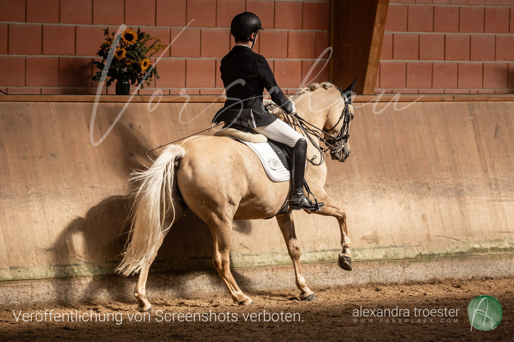 250914_Barop_14_013 | farbklaex.com