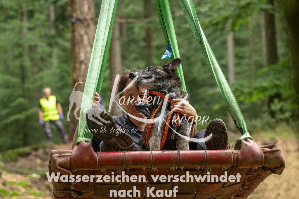 1244_ZZ91736-Bearbeitet | kk-dogfotos
