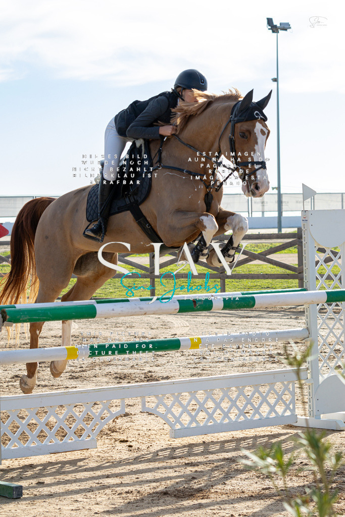 IMG_1704 | s-jay-photography - Realisiert mit Pictrs.com