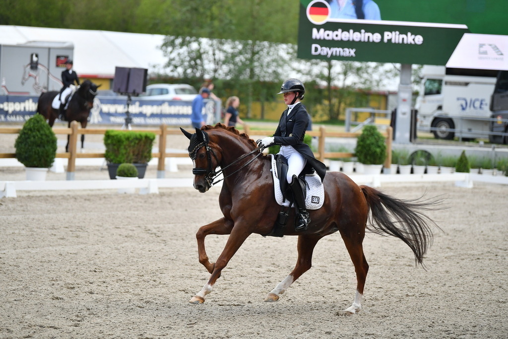 Plinke_24_140 | Der professionelle Turnierfotograf ✓ Reitsport Bilder ▷ Shop ✚ günstig & schnell ✚ mit Zugang für Redakteure