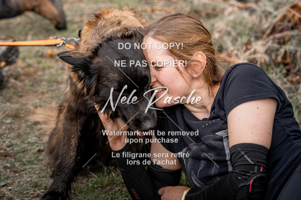 nelerasche_TheGame2026_SaDangerZone_96 | nelerasche