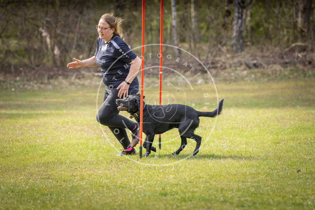 Pfotenfotografie_DV3A9908 | Hundefotografie, Tierfotograf, Pfotenfotografie, Fotoshooting Hund, Hunde Portrait, Hundesport, Hundeportraits, Heideshooting, Hunde, Sportfotograf, Hundefotograf, Turnierhundsport, THS,  - Realisiert mit Pictrs.com