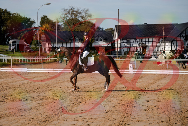 2026_10_03_Siefer-Hof_114729_Z63_26444900 | Professionelle Reitsport-, Turnier- und Eventfotografie von Robert Broda. Galerien mit ausgewählten und bearbeiteten Bildern direkt online ansehen und bestellen.