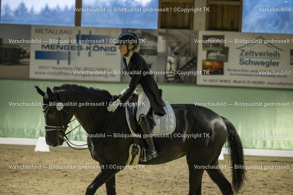 _D5A7378 | Emotionale Pferde- & People-Fotografie rund um Heidelberg, Leimen & Umgebung. Natürliche Fotos von Pferd, Mensch & Familie. Jetzt Termin sichern!