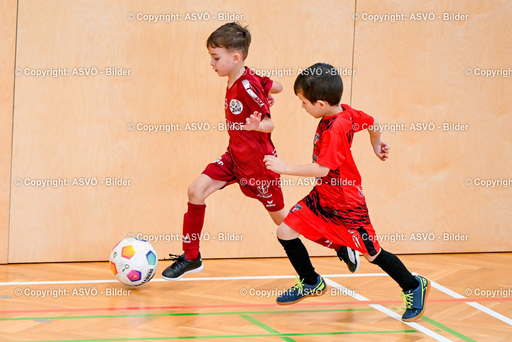 ASVÖ_ Fussball Nachwuchs Hallenturnier 2026_ SV Gallneukirchen_ 28.02.2026-123 | 28.02.2026, Gallneukirchen, AUT, ASVÖ, Fussball Nachwuchs Hallenturnier 2026, SV Gallneukirchen im Bild Teilnehmer U7©Harald Dostal / fodo.media - Realisiert mit Pictrs.com