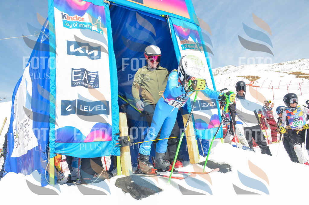 _ELE6578 | holidayphoto