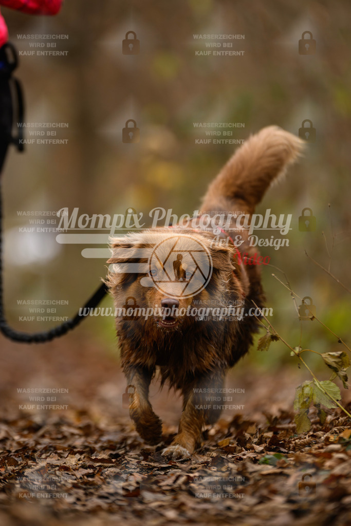 MompixPhotography_Eschau2024_CCL-239 | PayLife
