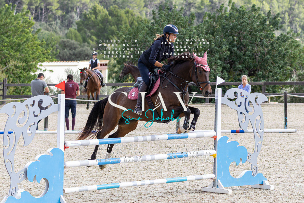 IMG_3094 | s-jay-photography - Realisiert mit Pictrs.com