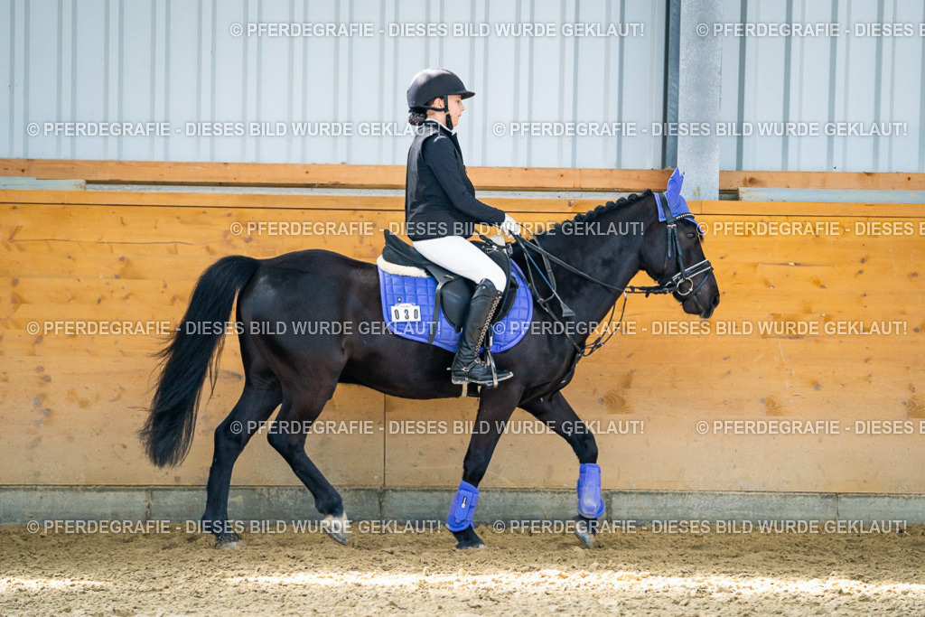 DSC02084 | Pferdegrafie