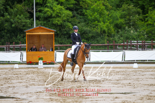 DKP46773 | Turniersportfotografie; Pferdefotografie; Dressurfotografie