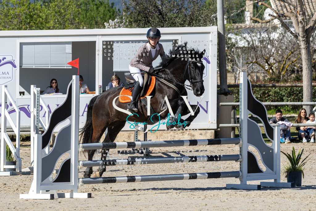 IMG_9046 | s-jay-photography - Realisiert mit Pictrs.com