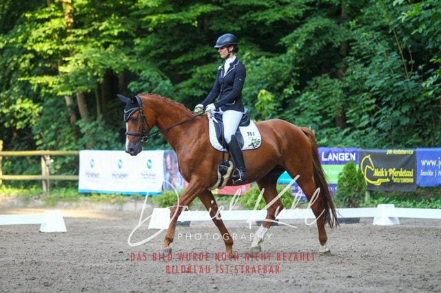 DKP43111 | Turniersportfotografie; Pferdefotografie; Dressurfotografie